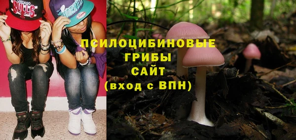 трава Армянск