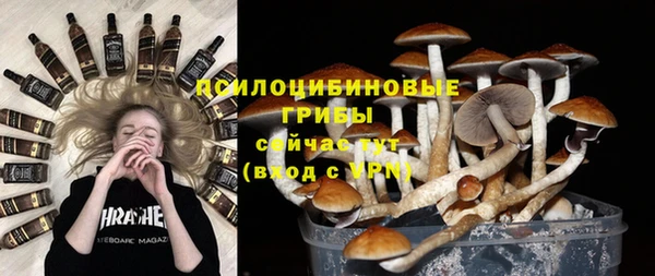 соль ск Балахна