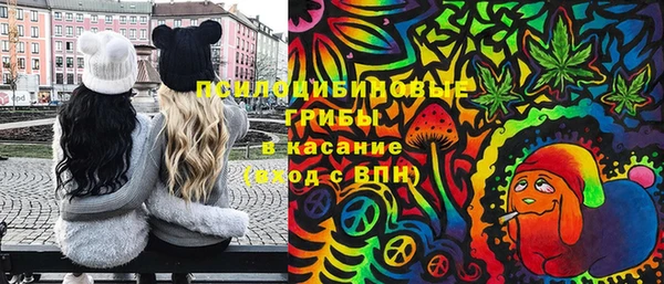 трава Армянск